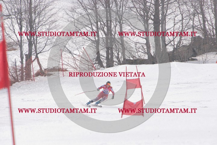 IMGB0146.JPG