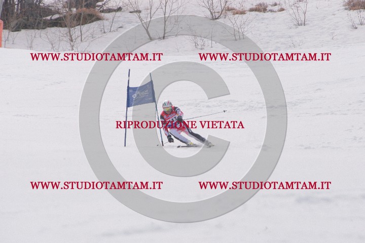 IMGB0345.JPG