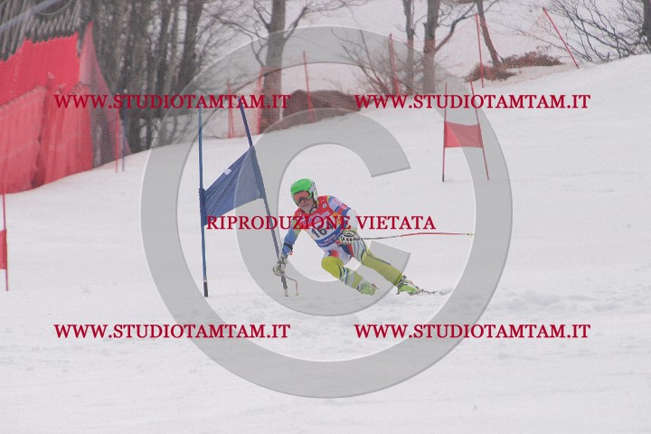 IMGB0510.JPG