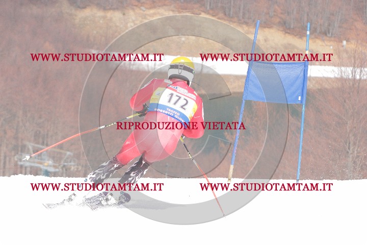 IMGB0613.JPG