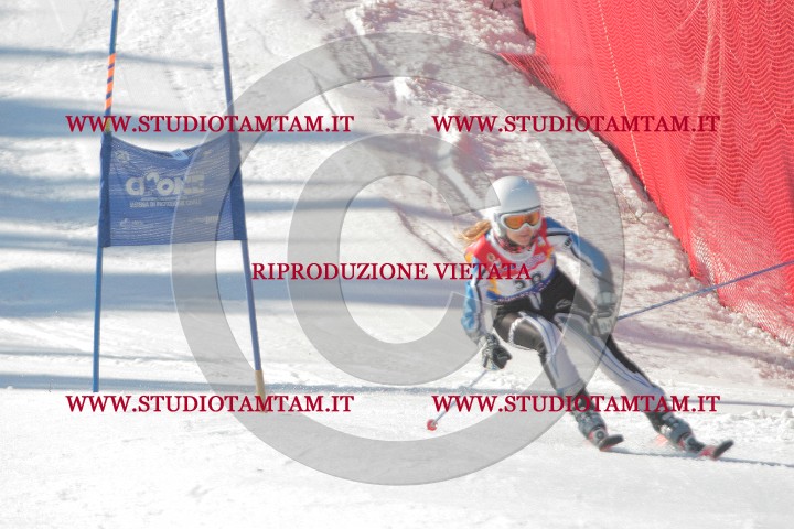 IMGB0507.JPG