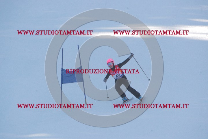 IMGB0520.JPG