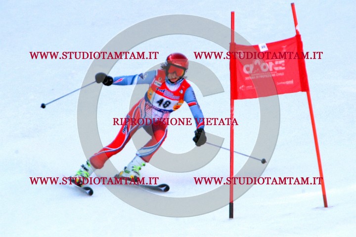 IMGB0595.jpg