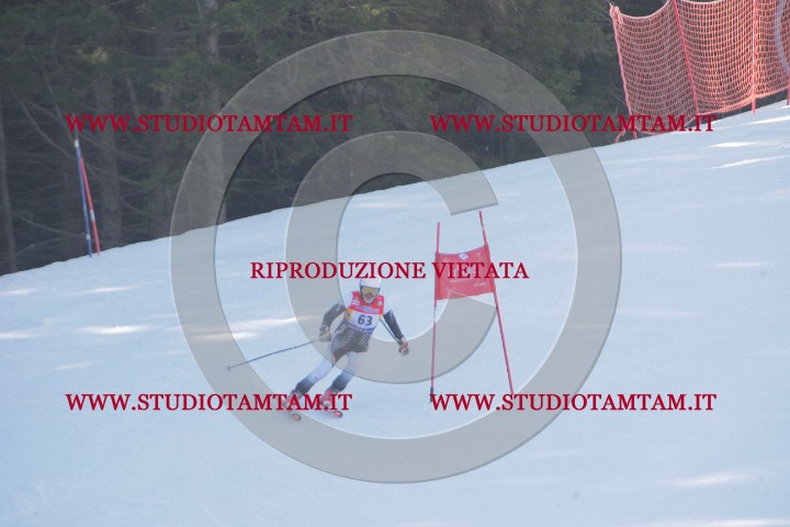 IMGB0714.JPG