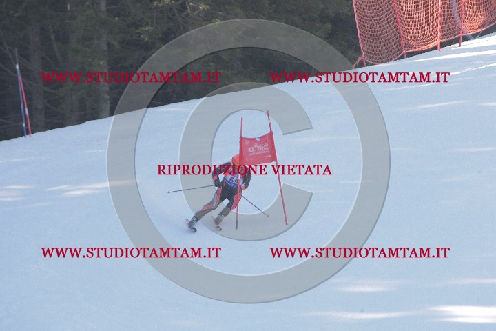IMGB0766.JPG