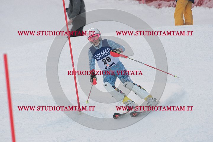 IMGB2613.JPG