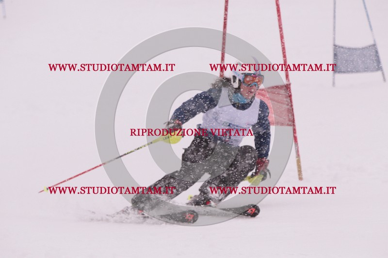 IMG_3641.JPG