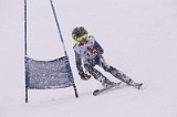 IMG_3731
