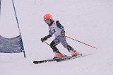 IMG_3924