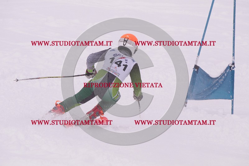 IMG_4928.JPG