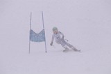 IMG_4530