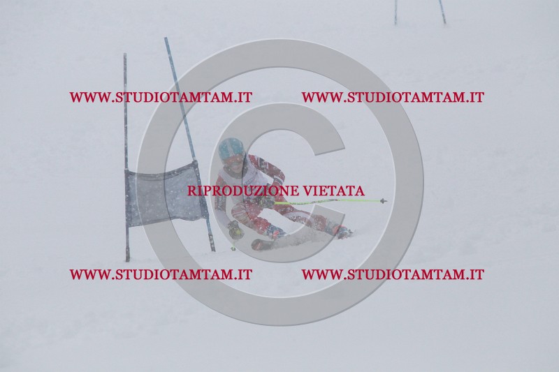 IMG_2745.JPG