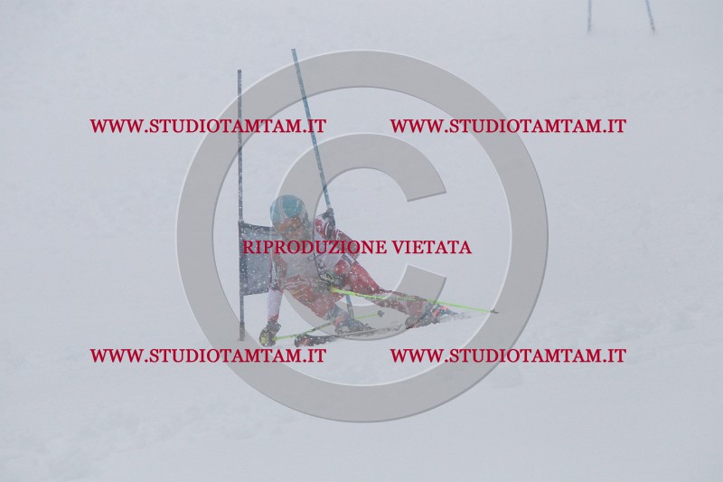 IMG_2747.JPG