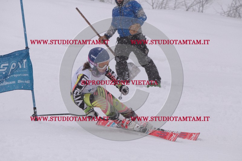 IMG_2817.JPG