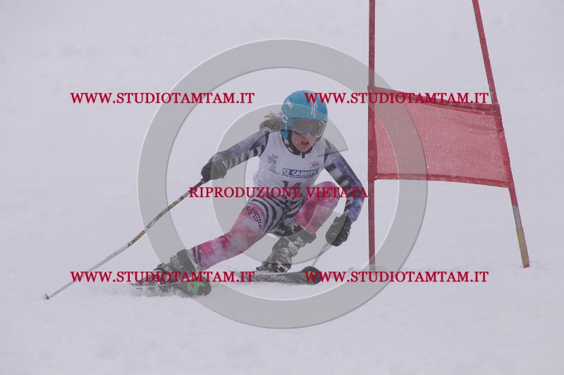 IMG_2883.JPG