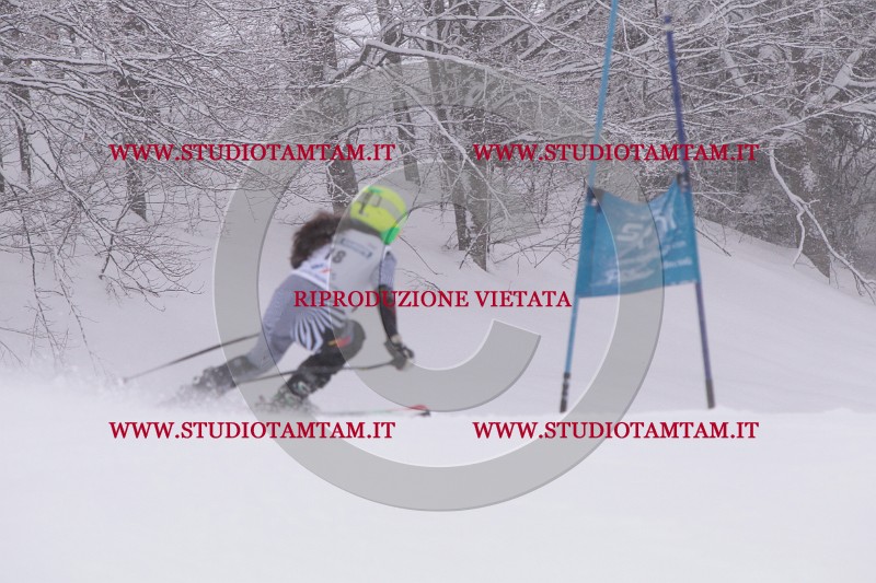 IMG_2932.JPG