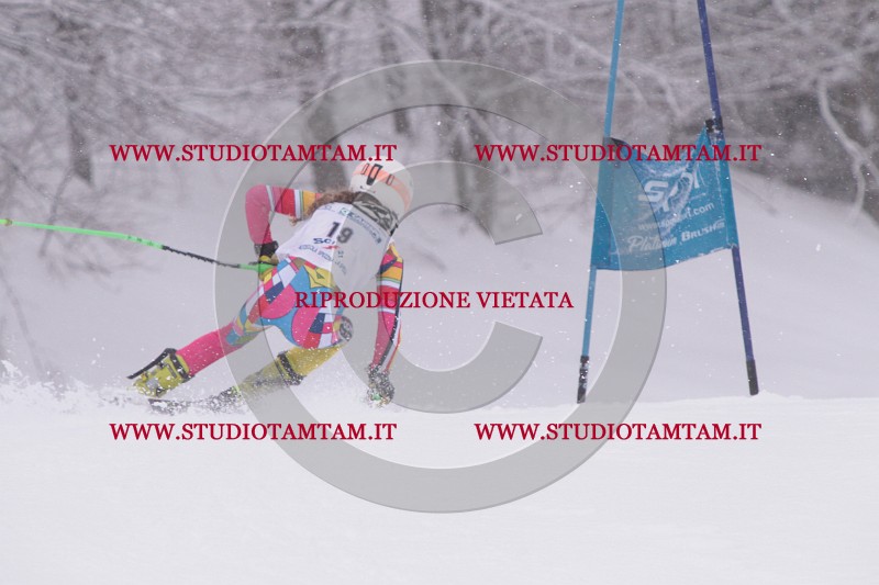IMG_2942.JPG