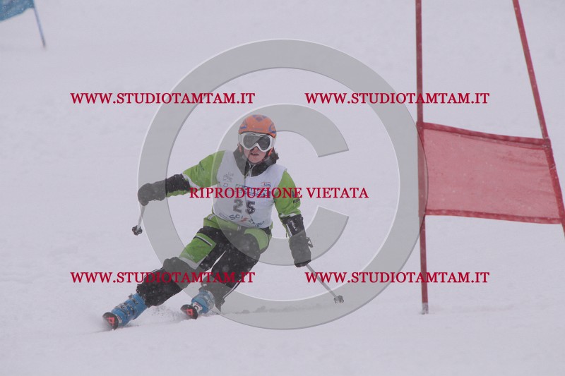 IMG_2981.JPG