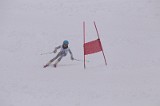 IMG_2943