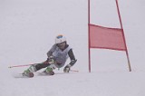 IMG_3226