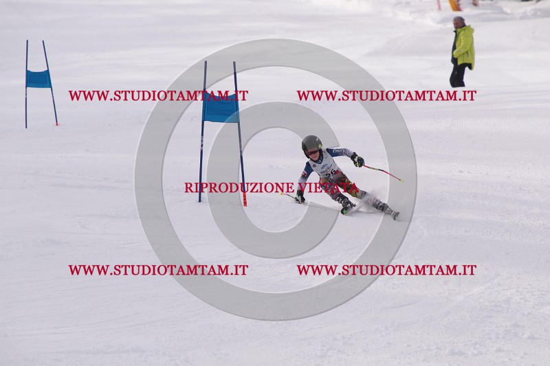 IMG_5049.JPG