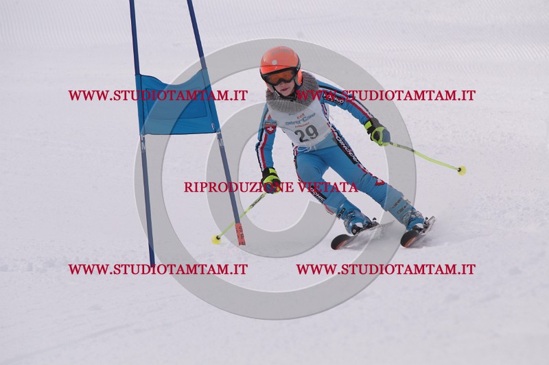 IMG_5079.JPG