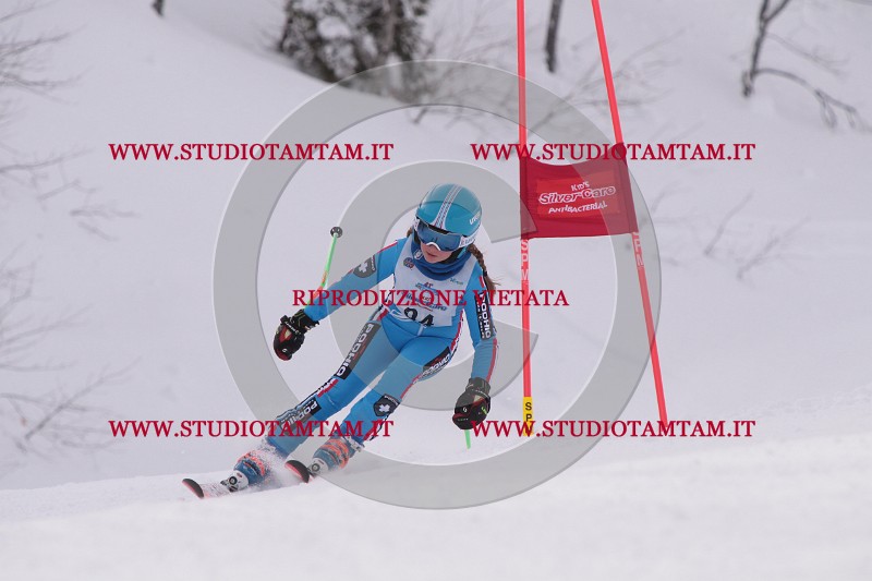 IMG_5120.JPG