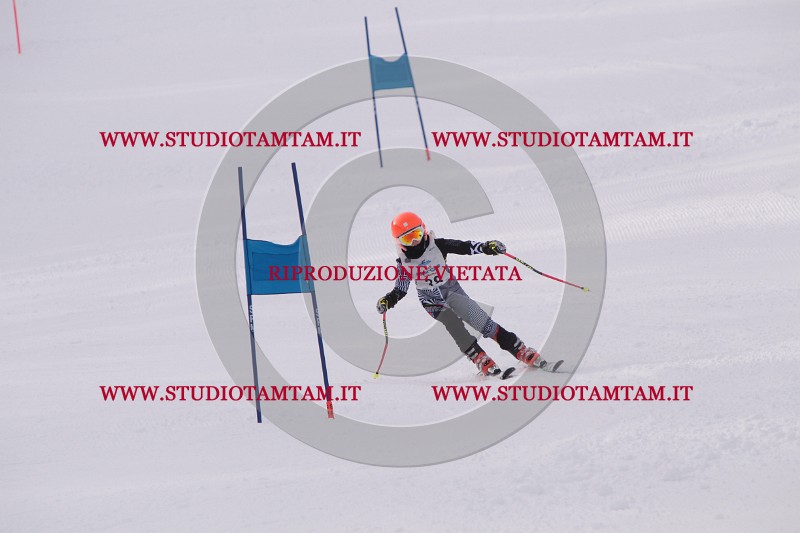 IMG_5161.JPG