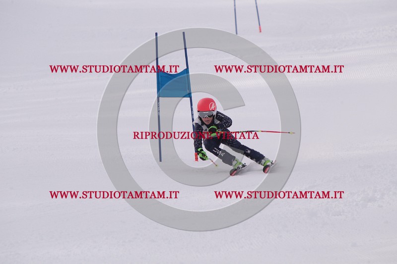 IMG_5209.JPG