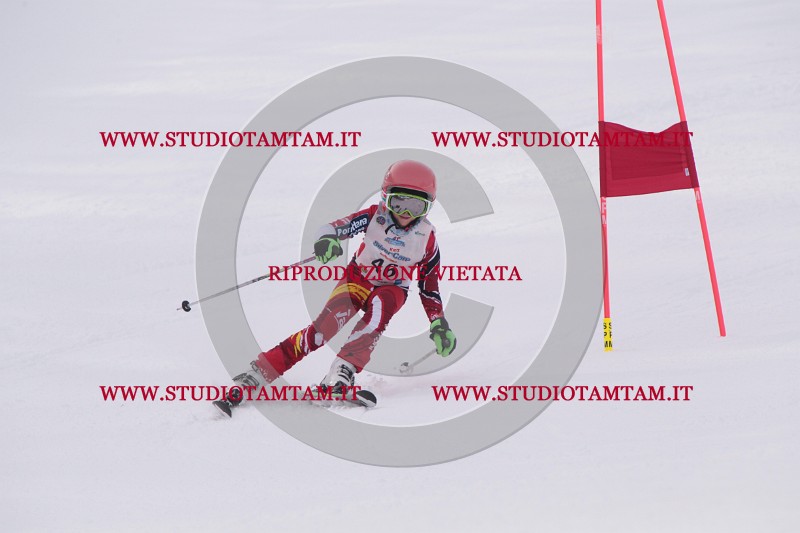 IMG_5259.JPG