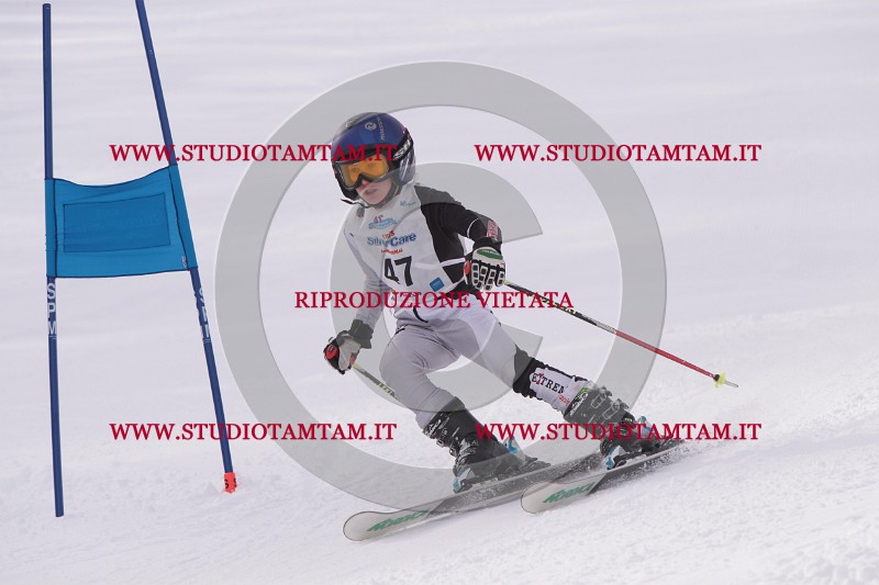 IMG_5275.JPG