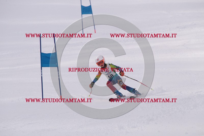 IMG_5307.JPG