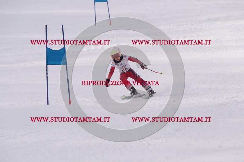 IMG_5331.JPG