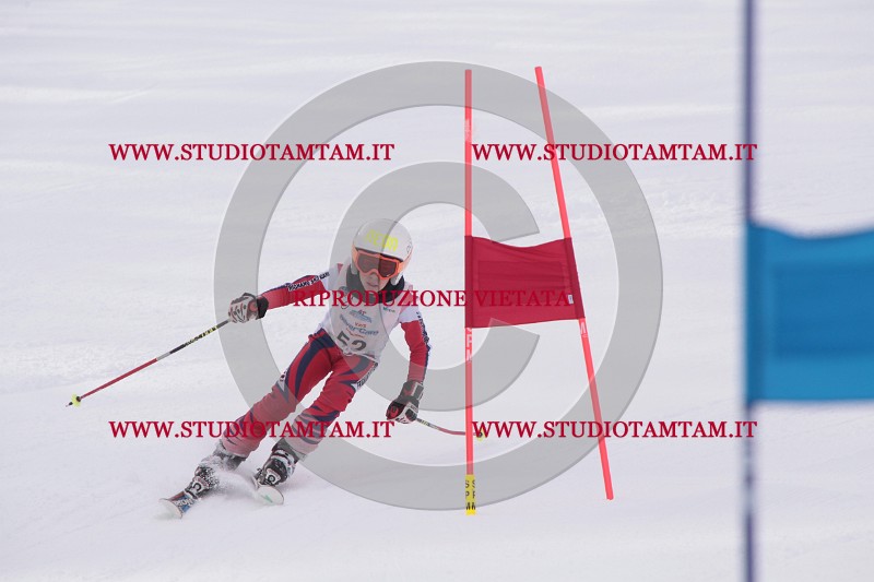 IMG_5333.JPG