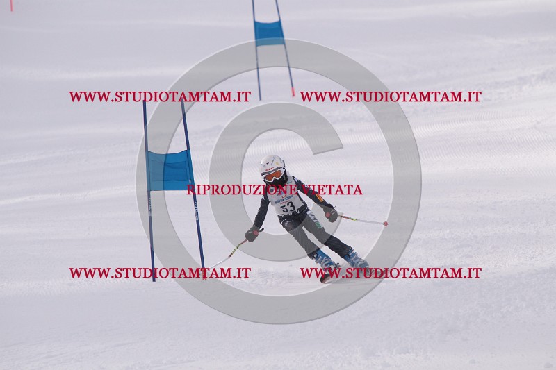IMG_5339.JPG