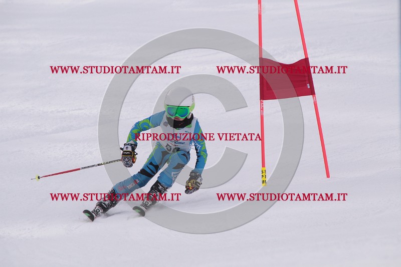 IMG_5381.JPG