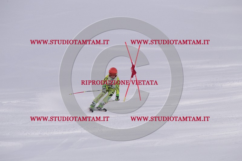 IMG_5475.JPG