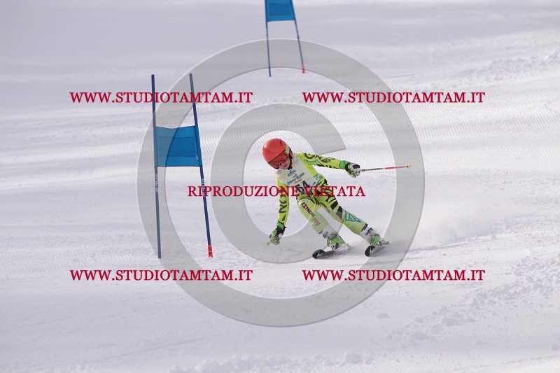 IMG_5477.JPG