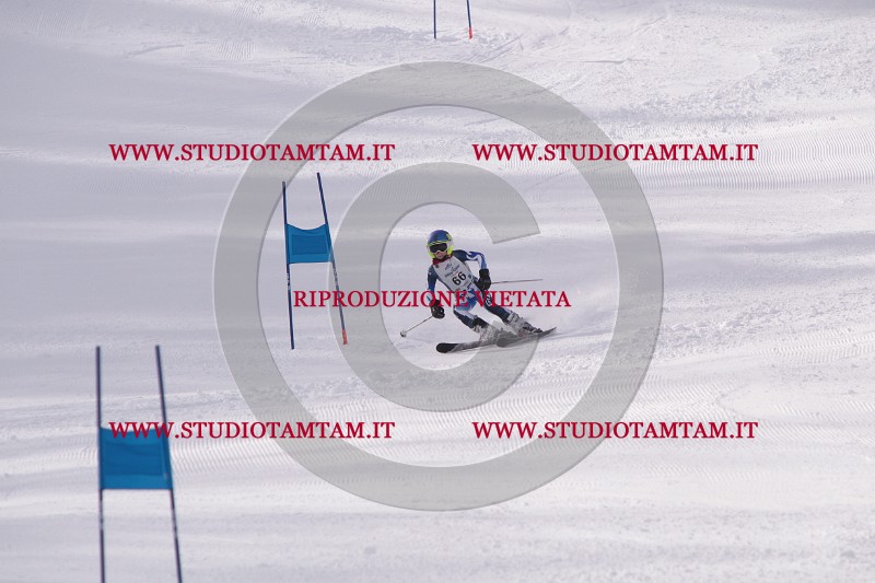 IMG_5500.JPG