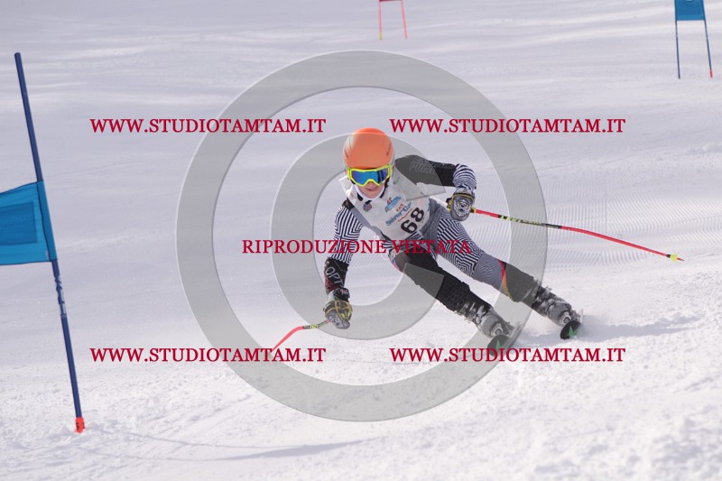 IMG_5538.JPG