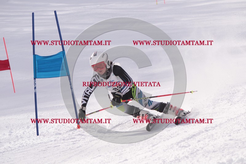 IMG_5556.JPG