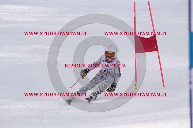 IMG_5567.JPG