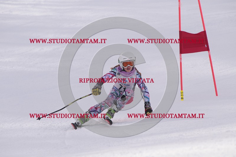 IMG_5599.JPG