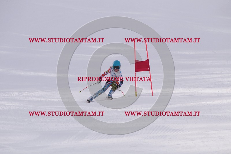 IMG_5622.JPG