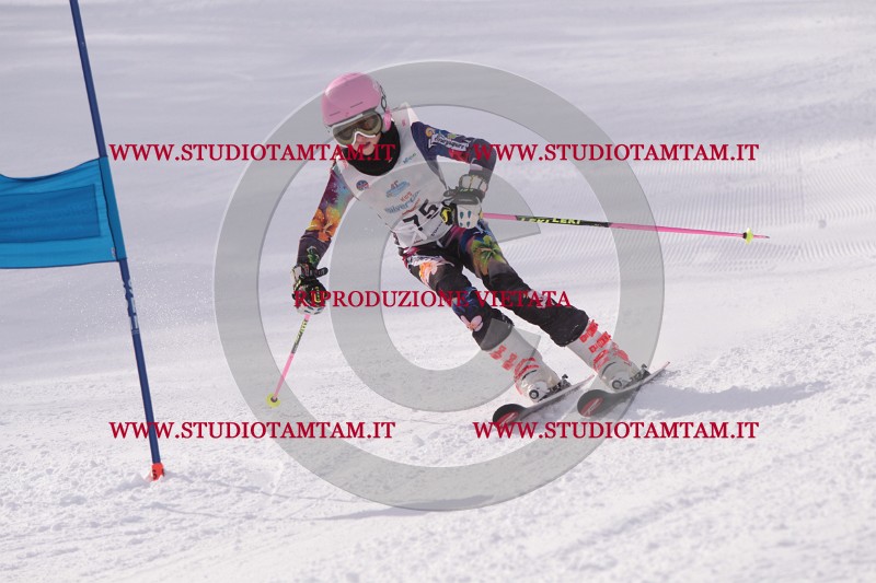 IMG_5658.JPG