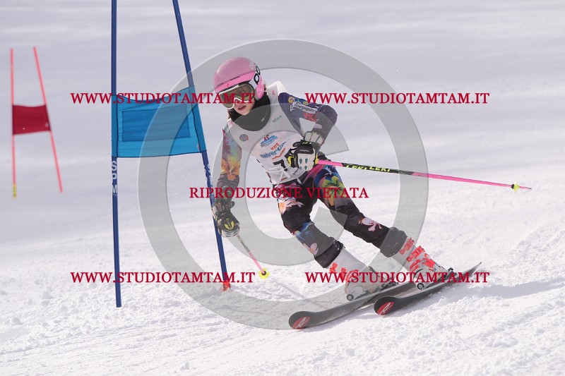 IMG_5660.JPG