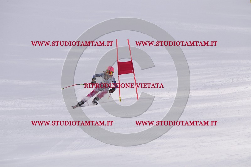 IMG_5666.JPG