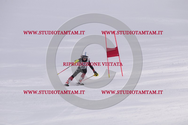 IMG_5681.JPG