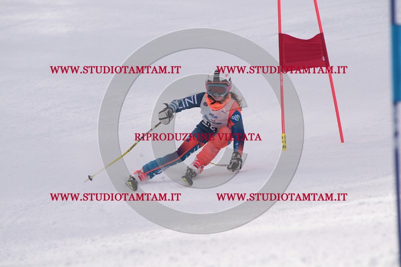 IMG_5741.JPG