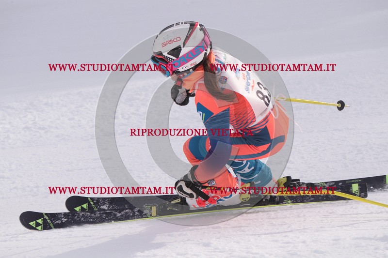 IMG_5745.JPG